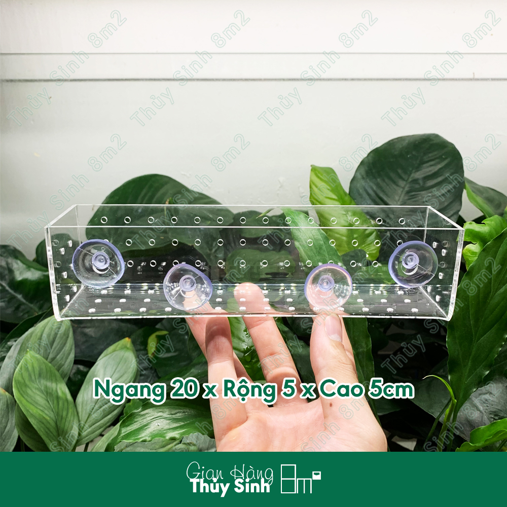 (Nhiều Mẫu) Cốc Trồng Cây Thủy Sinh Acrylic - 8m2
