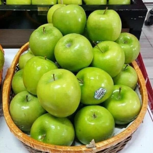 CÂY GIỐNG TÁO THÁI LAN SIÊU SỚM. [ GIỐNG CHUẨN ]