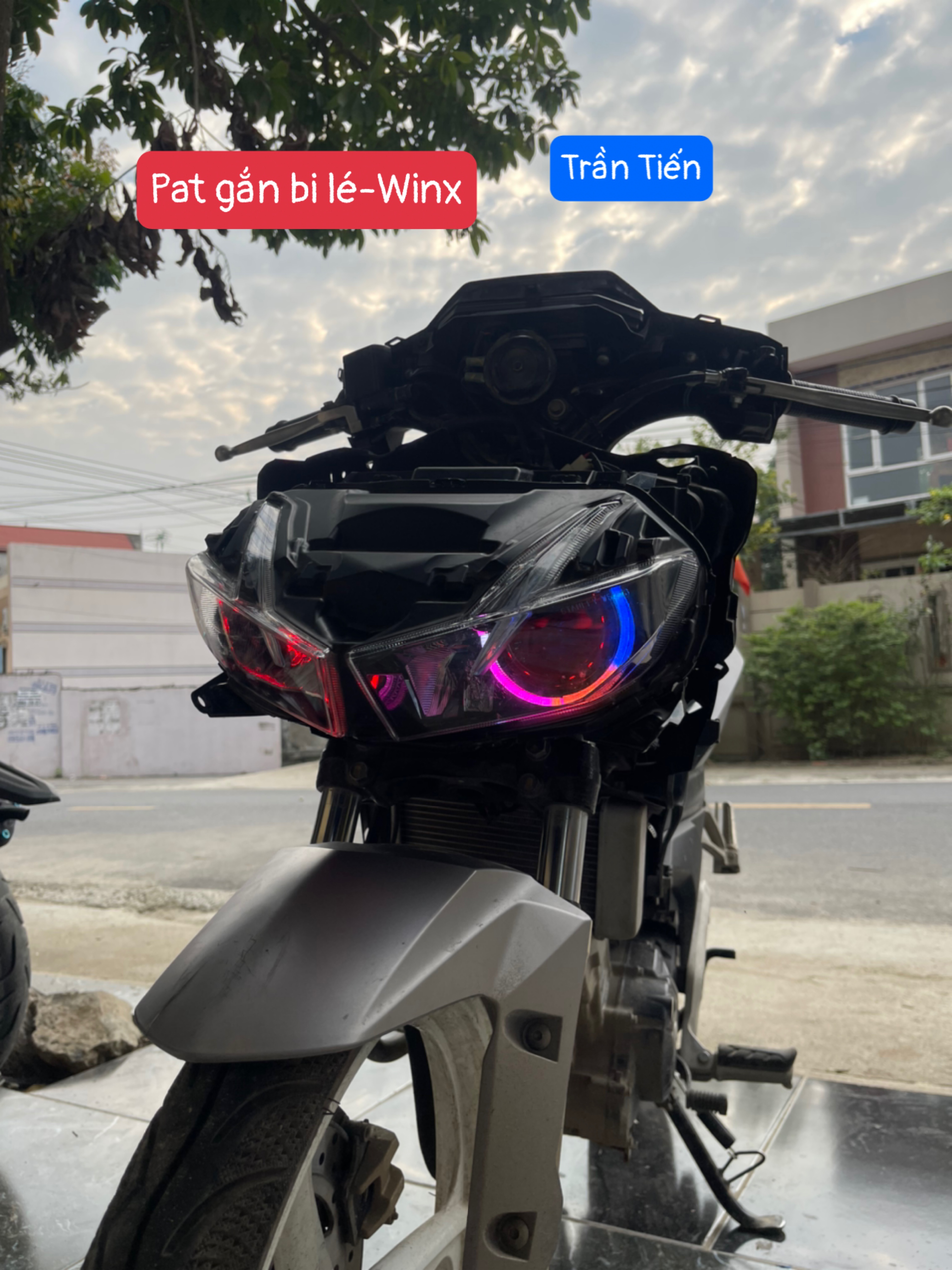 Win X Led Ball Mounting Plate Material: 304 Stainless Steel