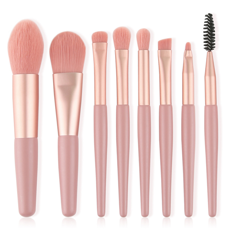 Set of 8 makeup brushes with a bag