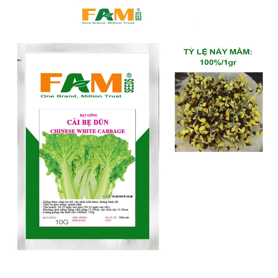 Gói 10gr Hạt Giống Cải Bẹ Dún Xòe FAM SEEDS - Hạt nảy mầm tốt, Cây lớn nhanh, Dễ thích nghi, Lá xòe rộng, Bụi cầm nặng tay