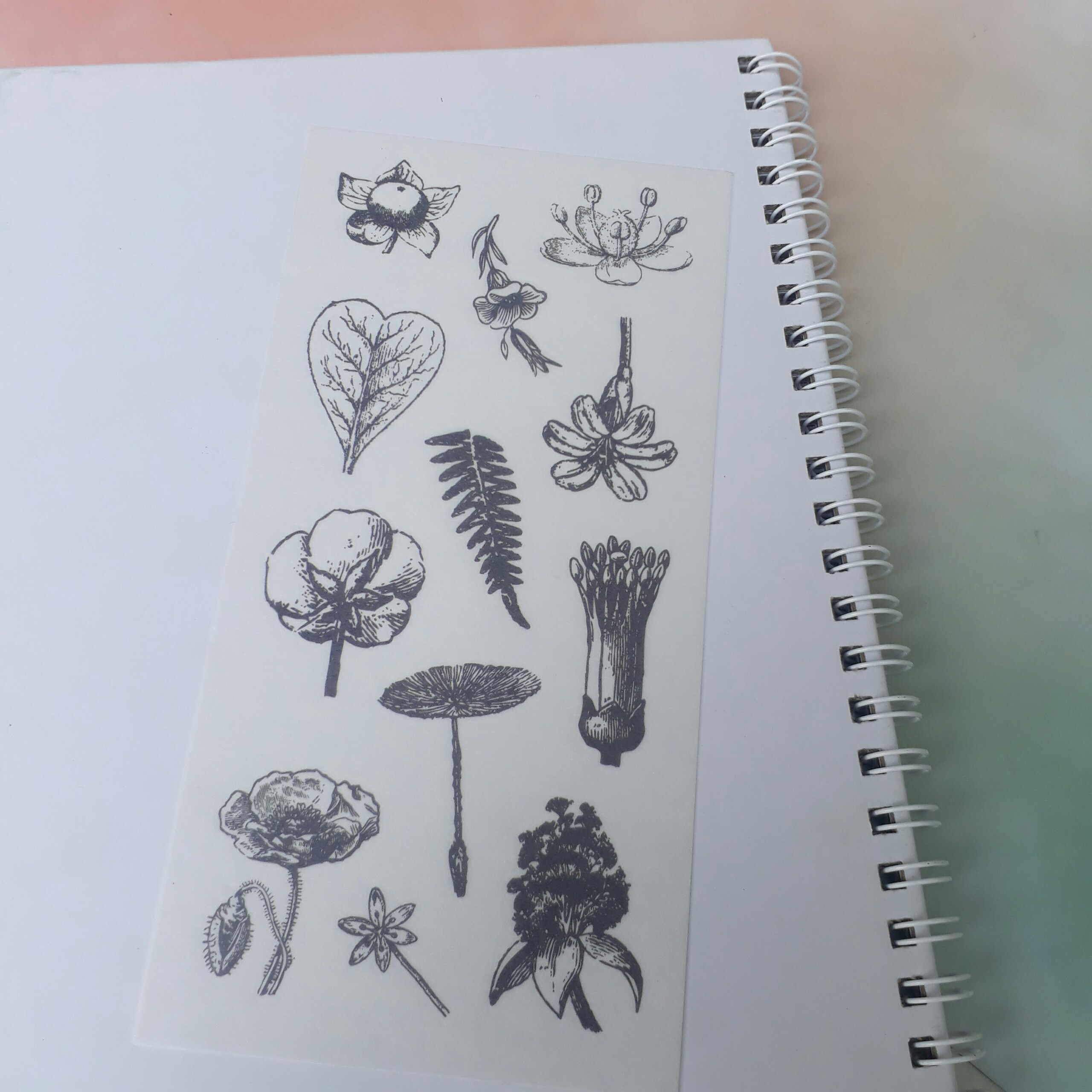 [HCM]Bộ 6 Tấm Sticker Hoa Cổ
