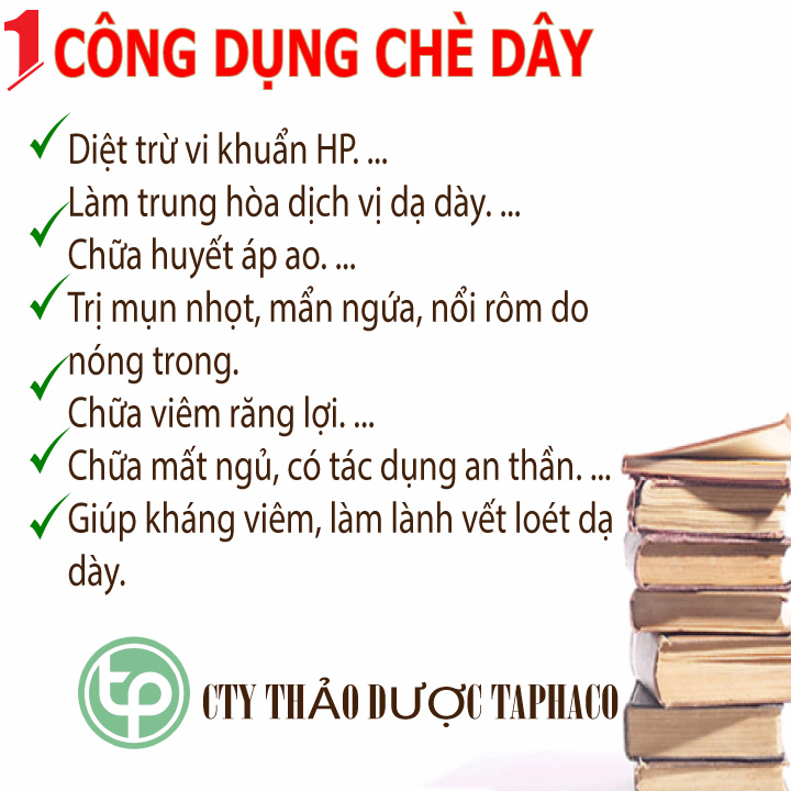 Chè dây trị dạ dày 500g - Thảo Dược Tấn Phát - Hàng sạch khô cao cấp