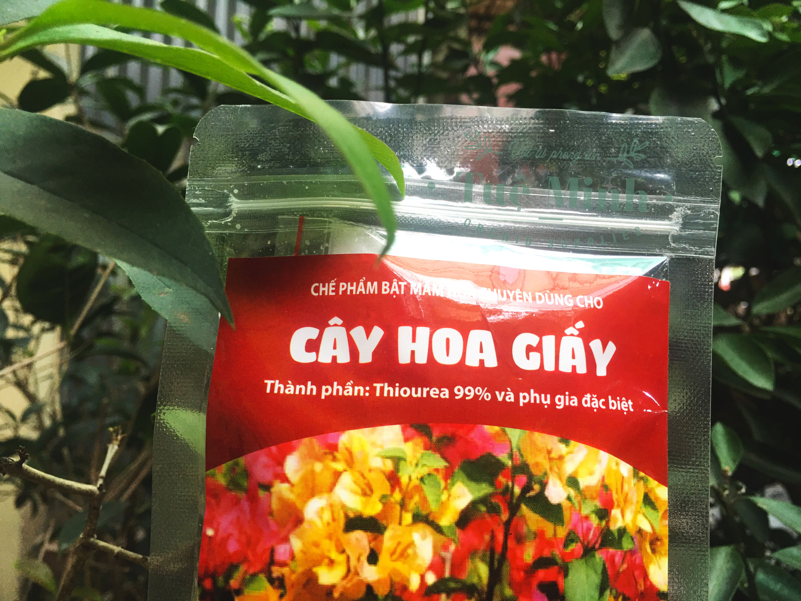 Phân bón kích thích ra hoa cho cây hoa giấy