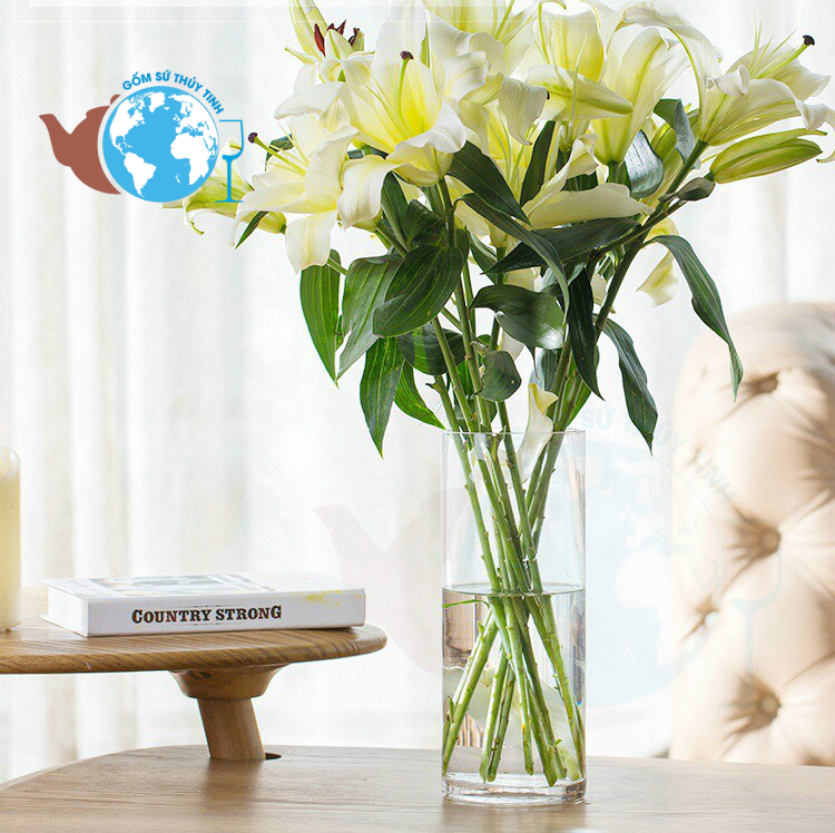 Bình bông lọ hoa trụ tròn 10X25 - lọ hoa đường kính 10cm cao 25c cắm hoa, nuôi cá, lọ hoa thủy tinh trang trí