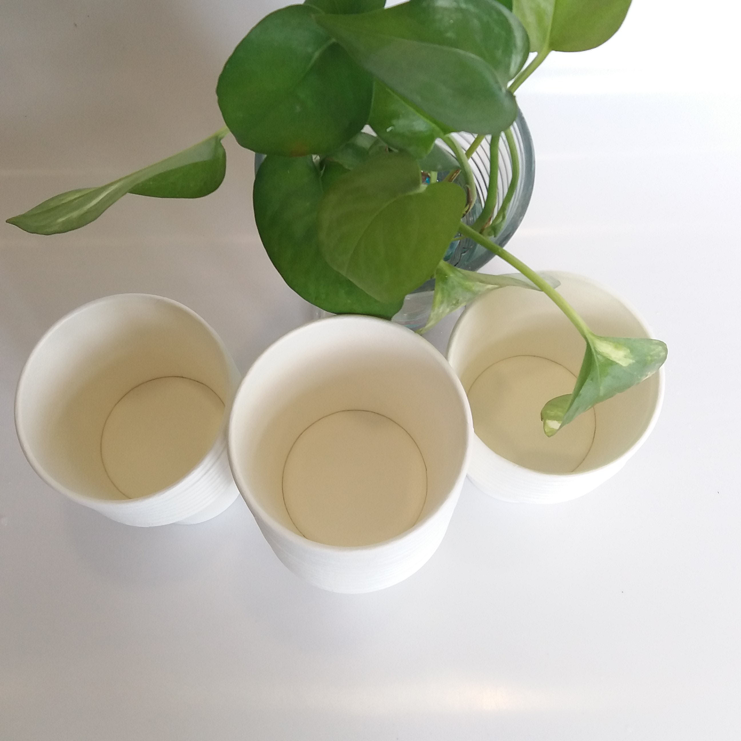 [KV] Ly giấy 6.5oz~192ml - Lốc 50 ly giấy trơn
