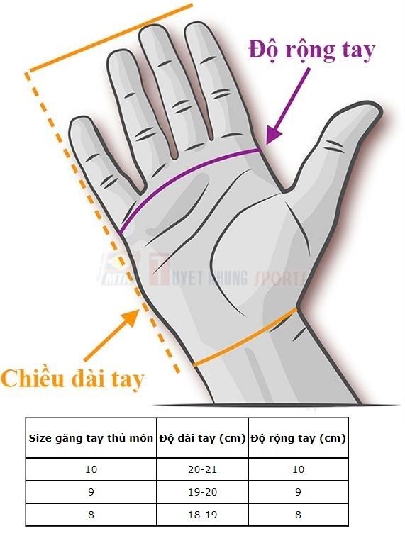 GĂNG TAY THỦ MÔN CAO CẤP