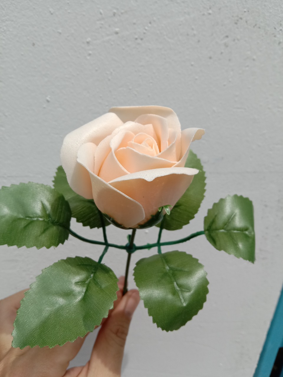 cành hoa hồng sáp ( có cành, có lá )
