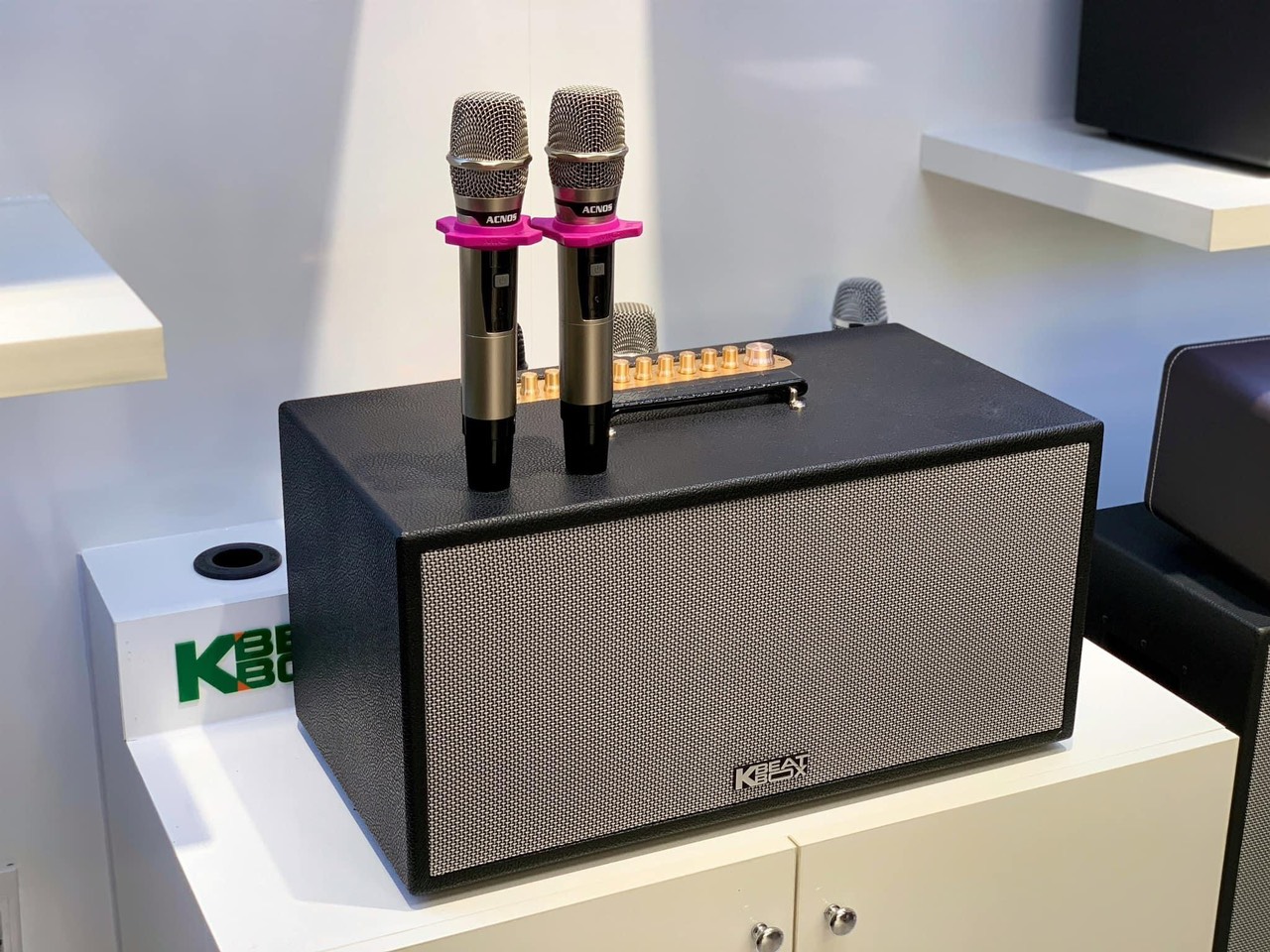 Loa Acnos CS451 Plus / CS451Plus - Hàng chính hãng