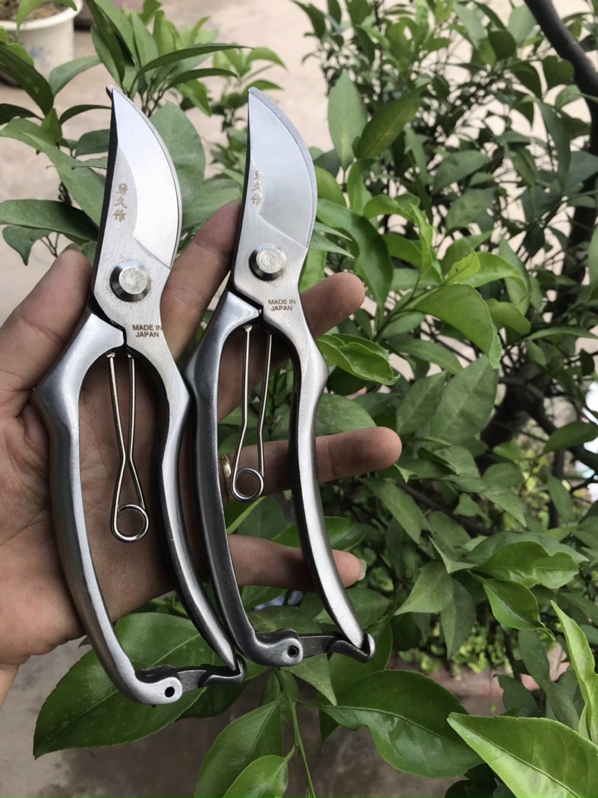 Kéo cắt cành thép trắng - hàng bãi