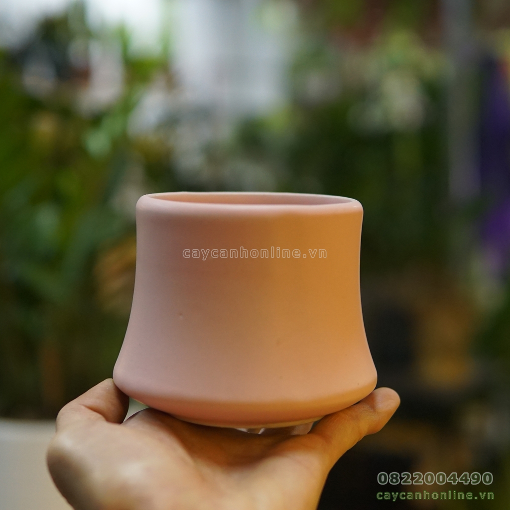 Chậu đốt trúc trồng cây cảnh để bàn cây mini
