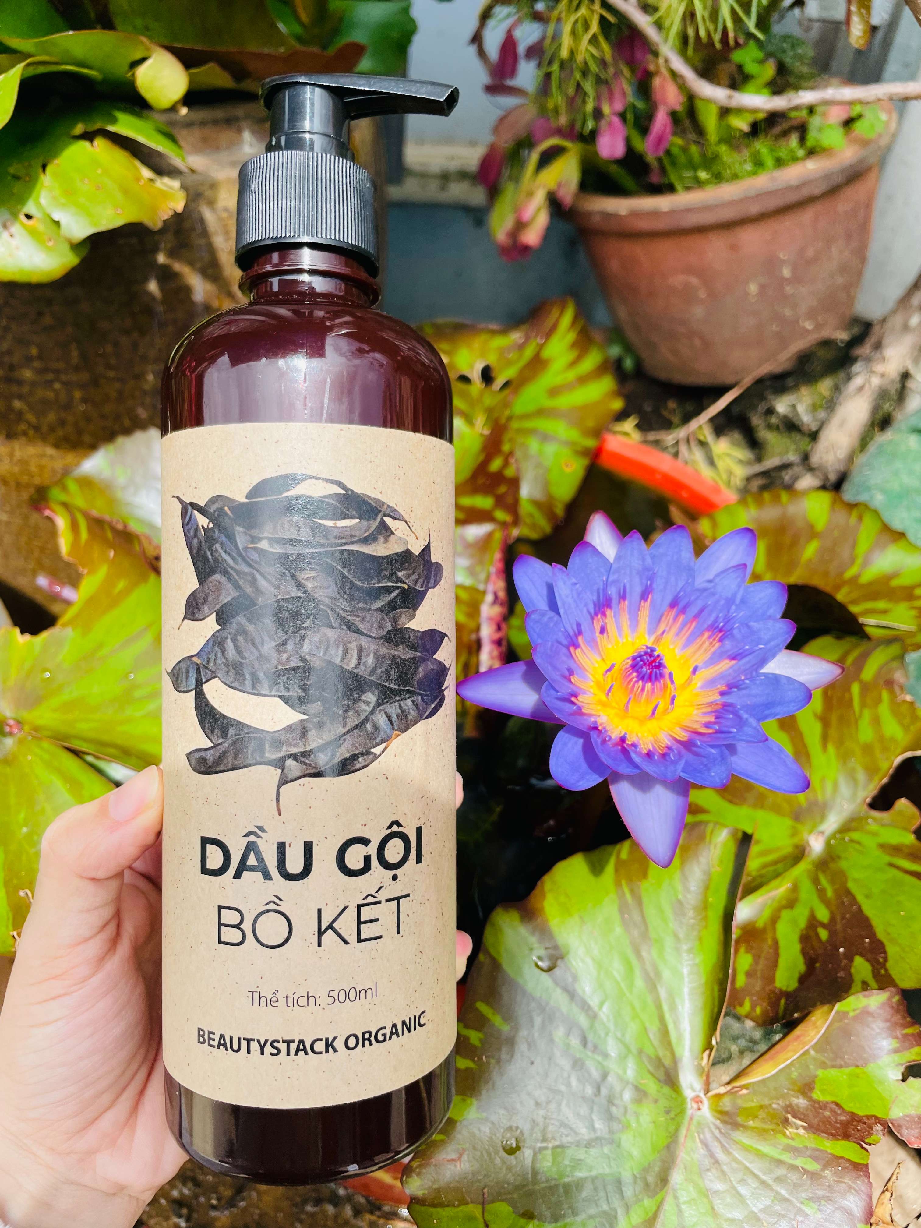 DẦU GỘI BỒ KẾT kích thích mọc tóc và chăm sóc tóc  500ml