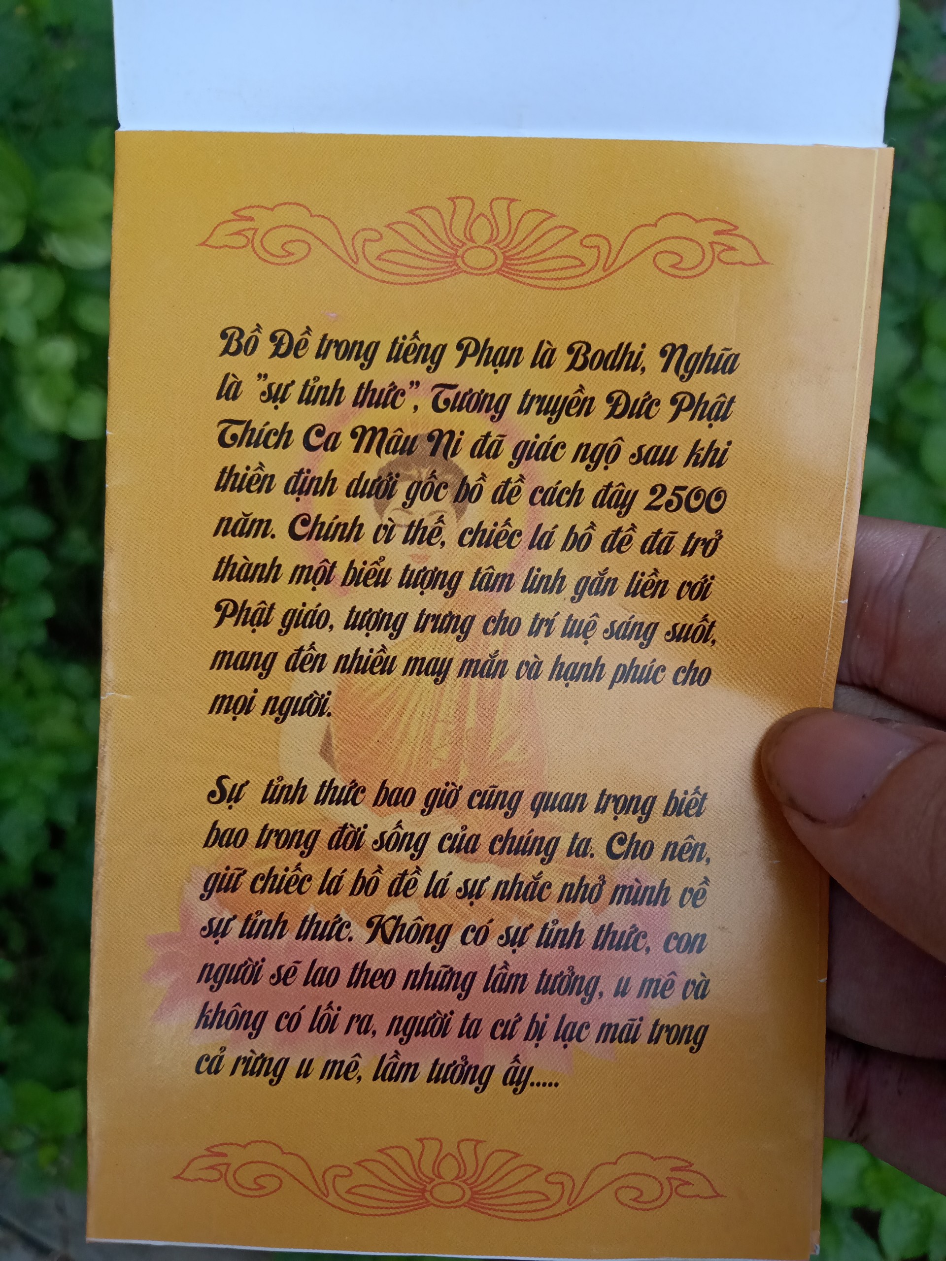 Phong bao đựng lá bồ đề mẫu mới