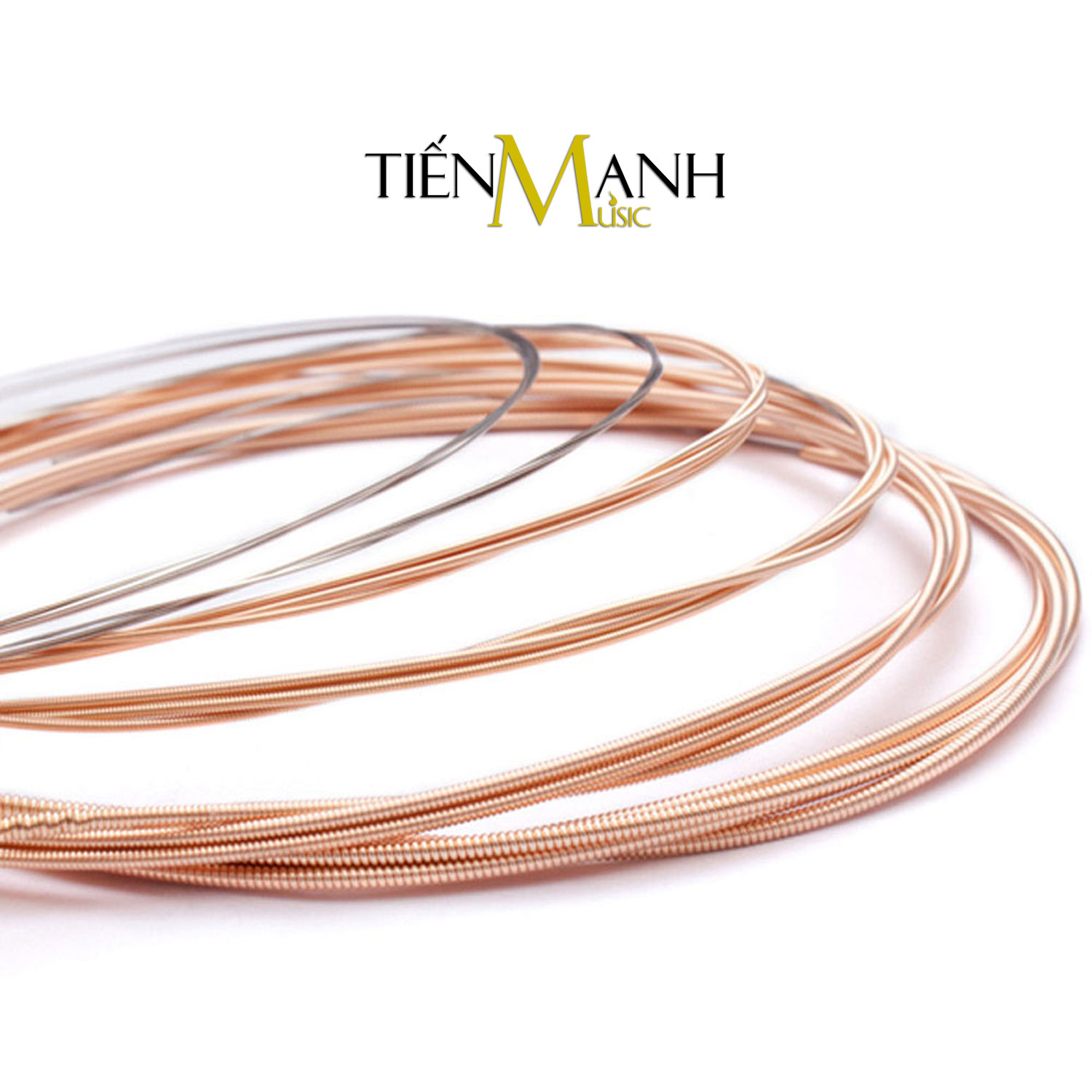 Elixir 11027 - Dây Đàn Acoustic Guitar Cỡ 11 (.011-.052) - 80/20 Bronze Strings Custom Light - Hãng phân phối chính thức (Bộ Dây Ghi-ta phủ lớp Nanoweb cao cấp - Cam kết 100% dây xịn, sai hoàn tiền gấp 10 lần)