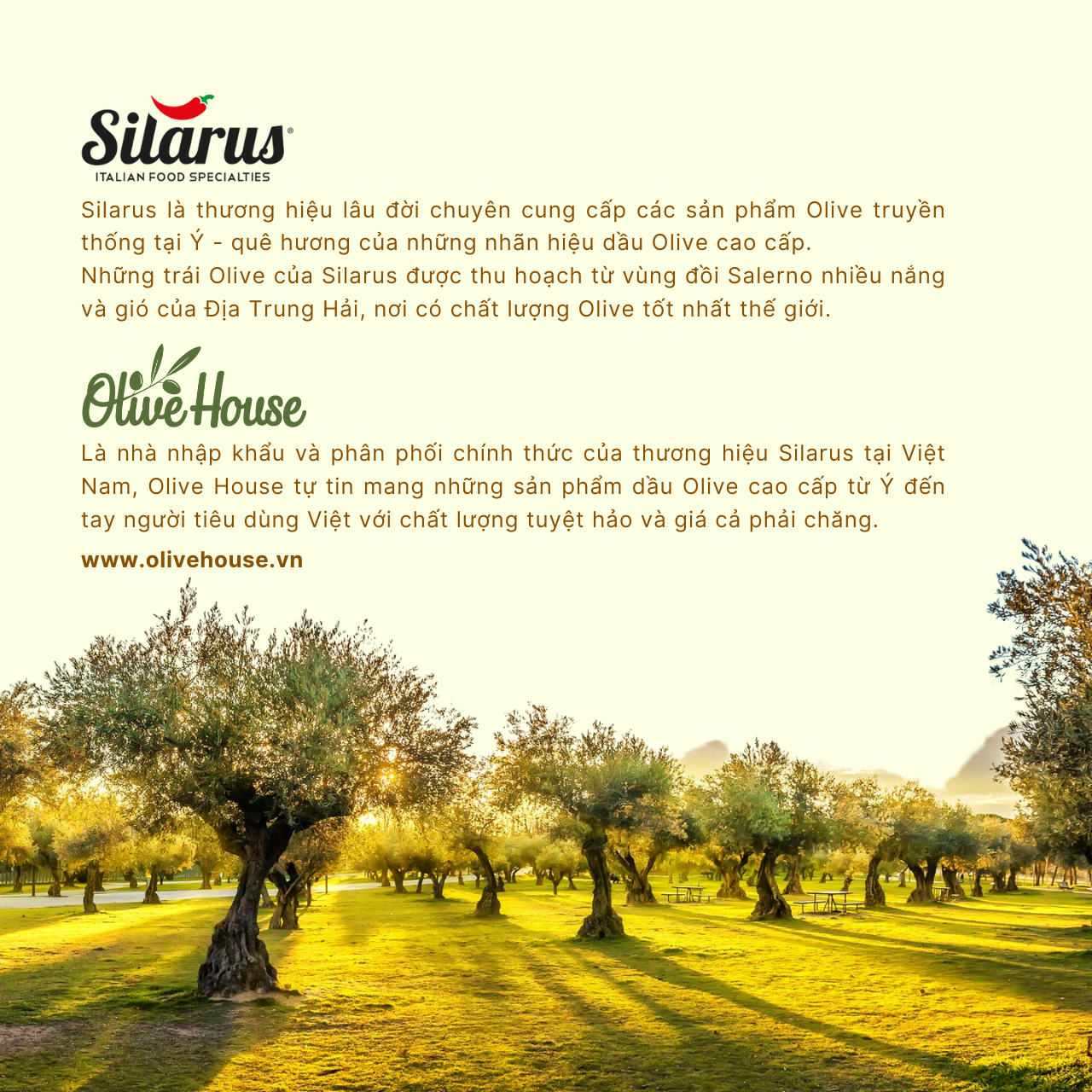 Dầu Oliu Nguyên chất Silarus (Extra Virgin) 250ml