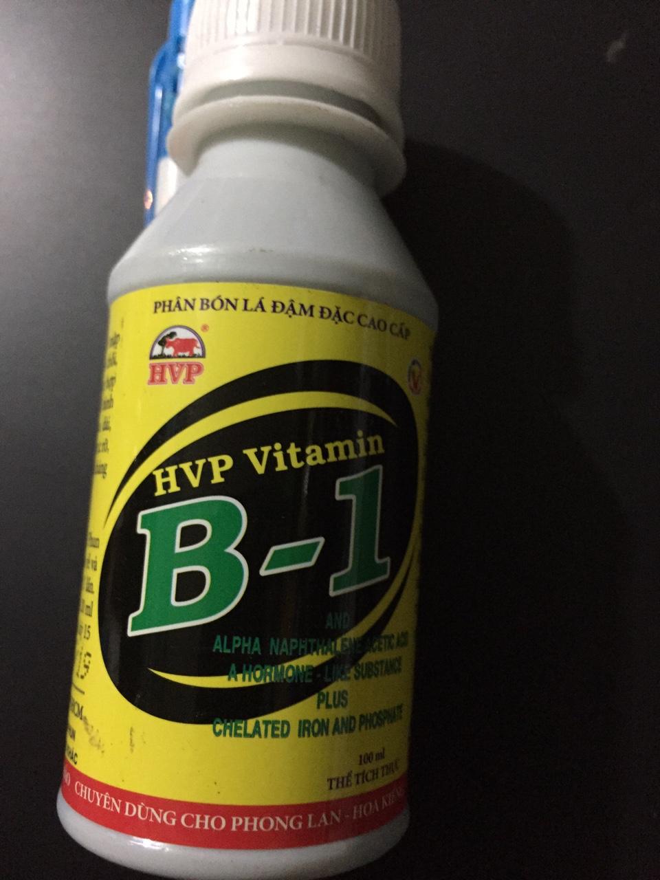 Vitamine b1 hvp - 250ml