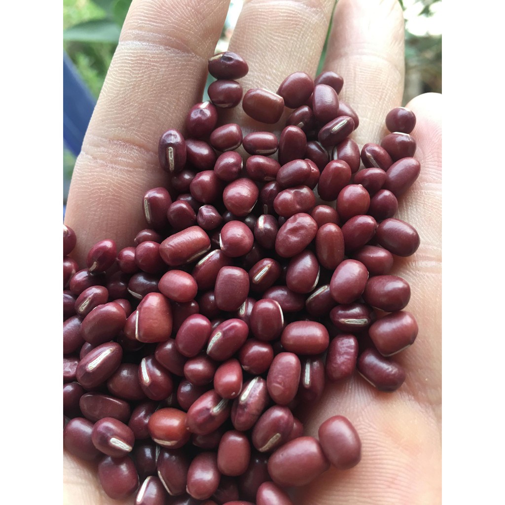 Đỗ đỏ quê hạt nhỏ Bở-Thơm-Sạch gói 1kg