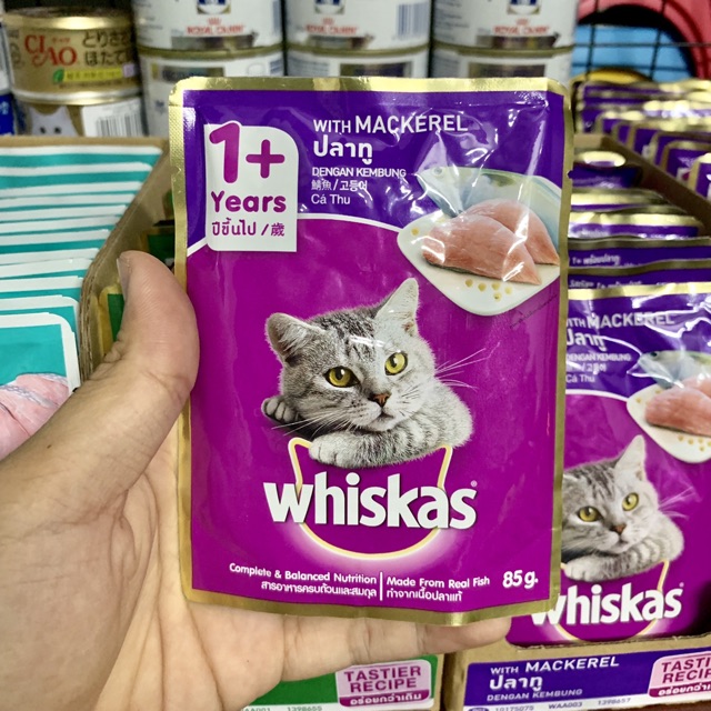 PATE WHISKAS CHO MÈO 🐱🐈🐱