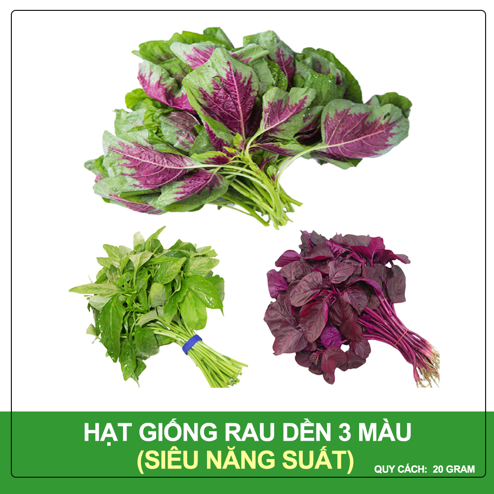 Hạt giống rau dền 3 màu phú nông gói 20 gram