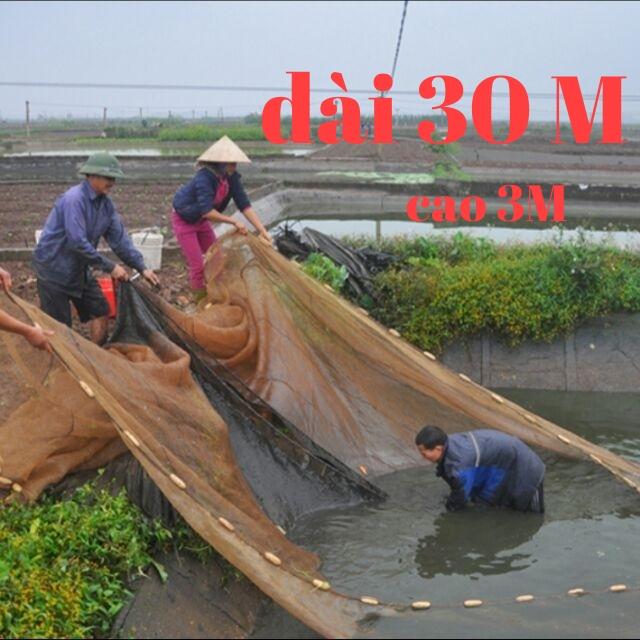 Lưới vét cá bằng chã cao 3m dài 30m túi 7m - siêu sale mùa cuối năm - cực hot - đại hạ giá thanh lý hàng tồn