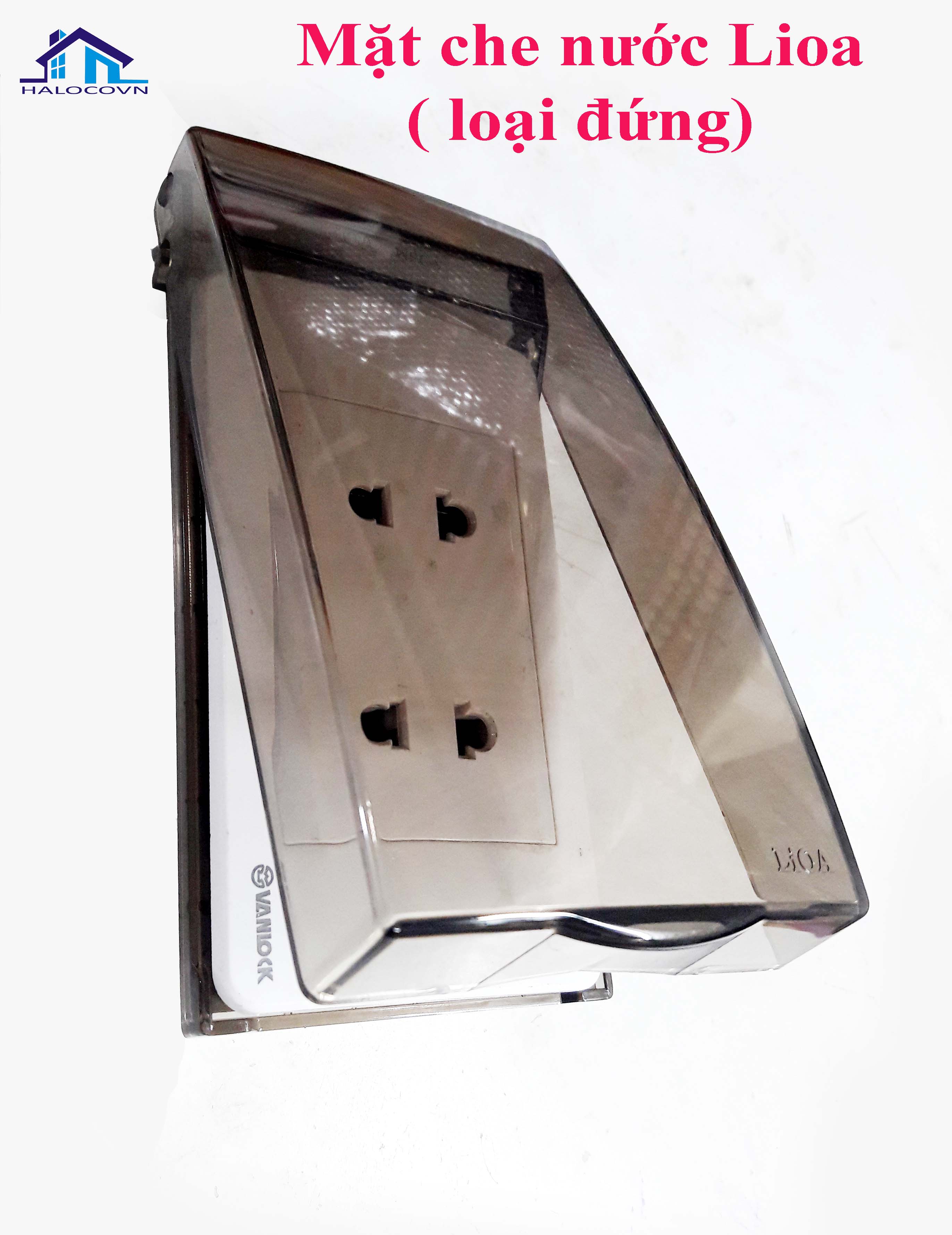 Mặt che nước -Lioa