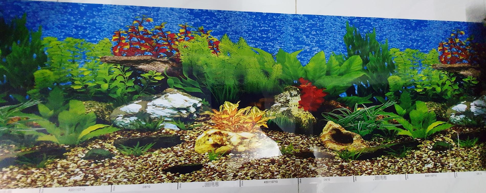 "Hoàn tiền đến 10%" TRANH DÁN HỒ CÁ 2 MẶT CAO 30CM MẪU NGẪU NHIÊN