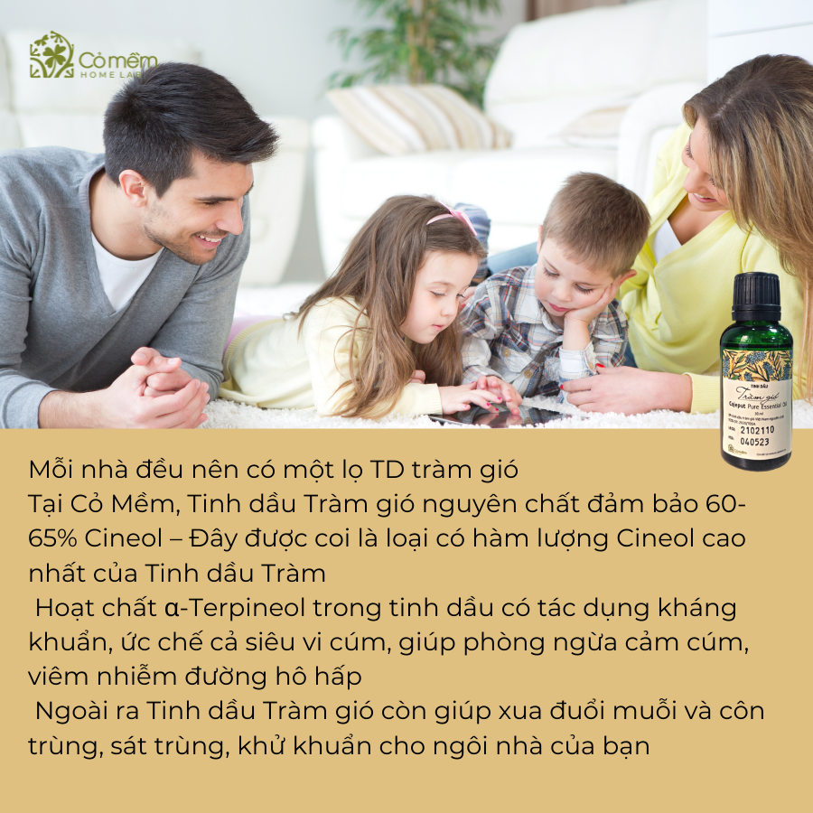 Pure Melaleuca Essential Oil Soft Grass