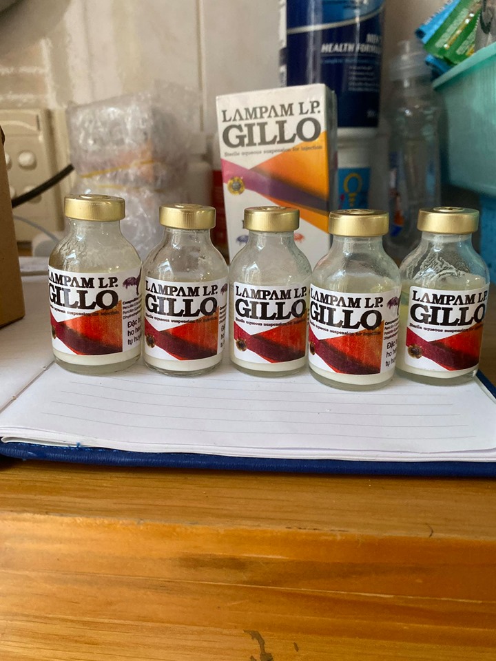 [HCM]GILLO LAMPAM CHAI CHIẾT 20ML