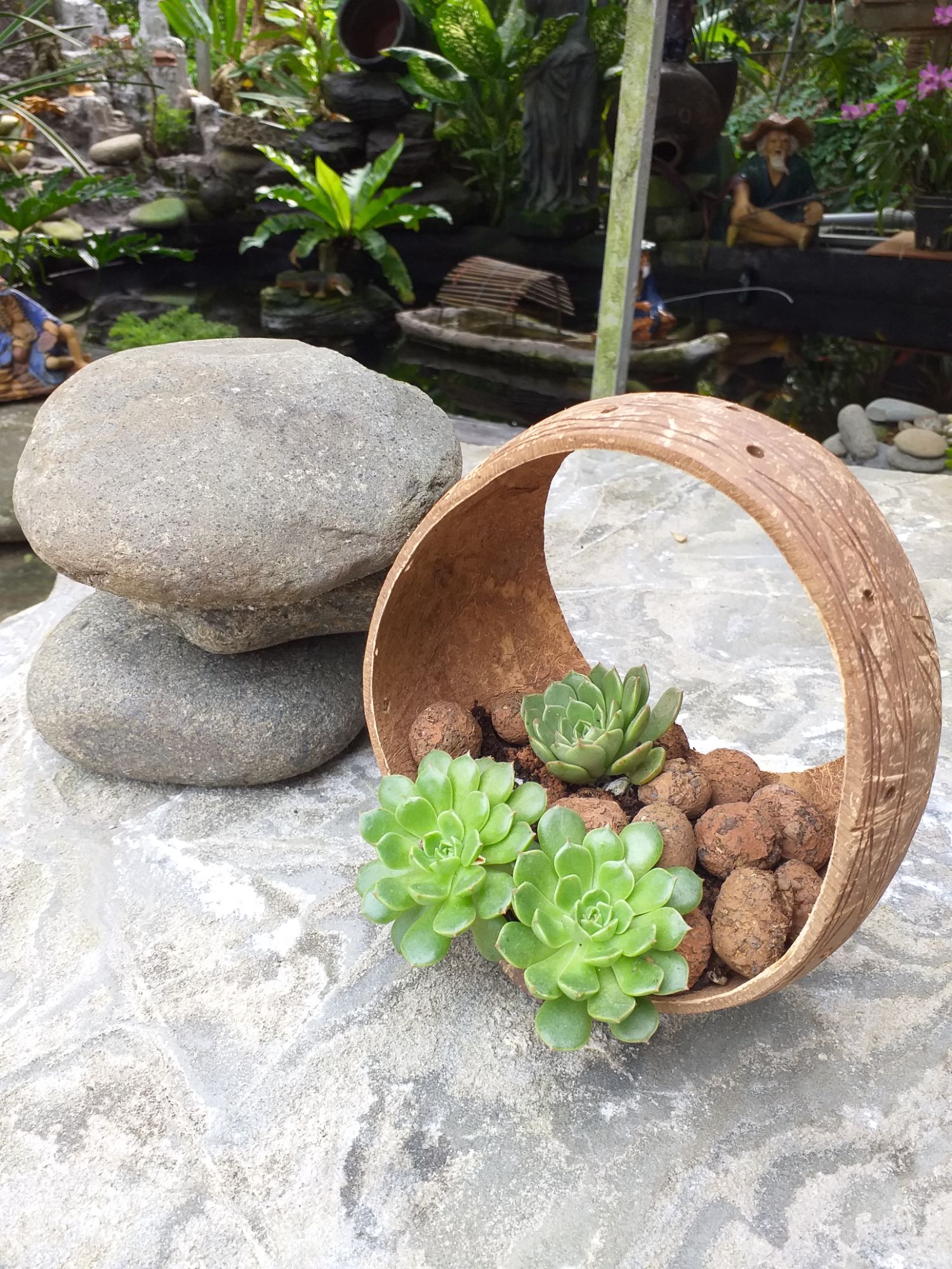 Chậu gáo dừa cắt 2 miệng có đế