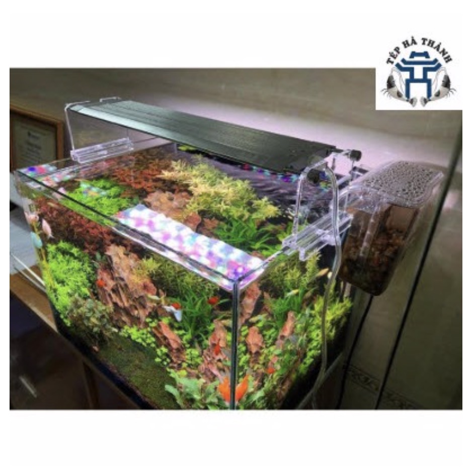 [Hoàn Tiền 10%] Đèn LED WEEK RAPTOR WRGB V900