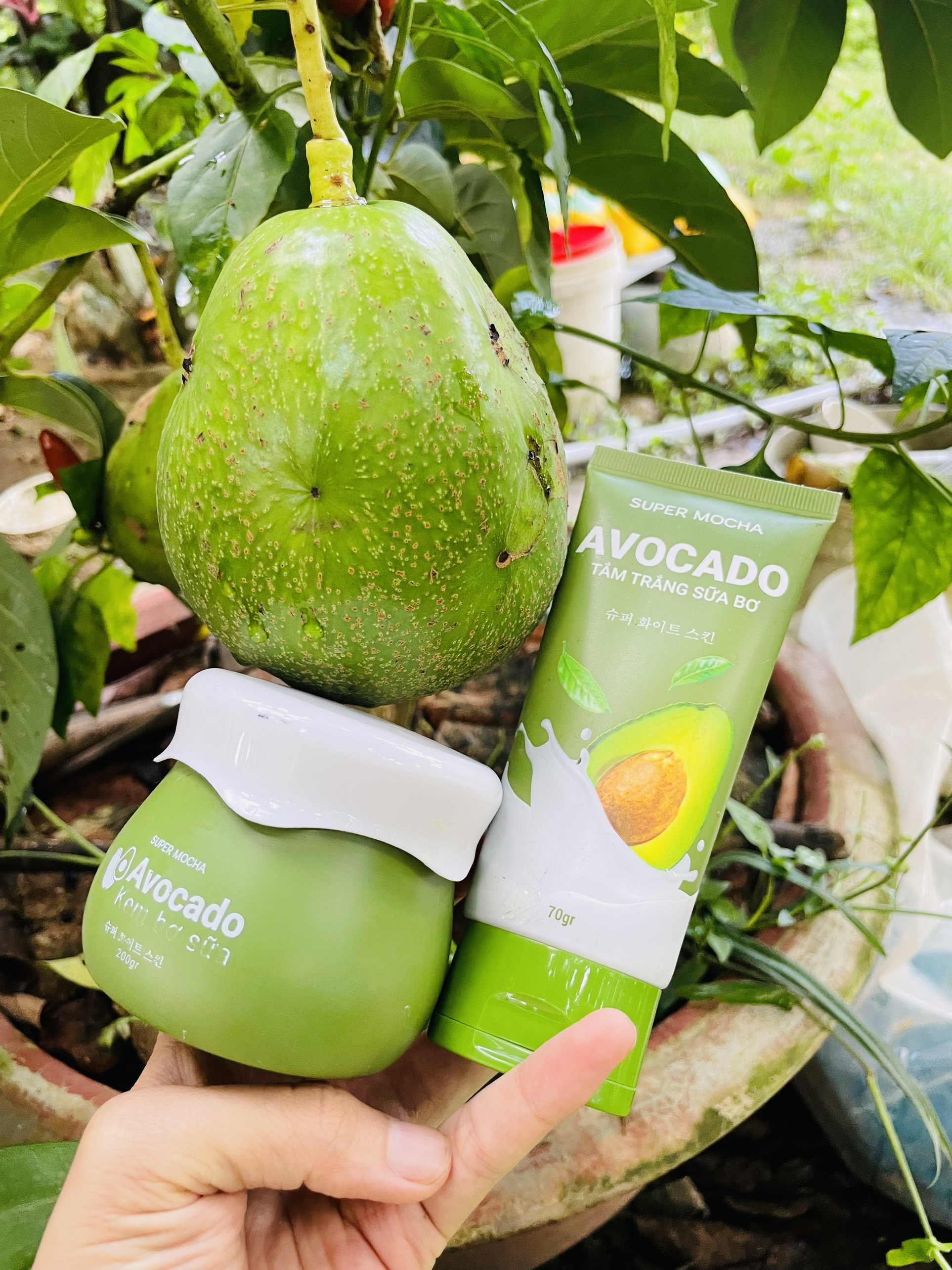 TẮM TRẮNG BODY BƠ SỮA SUPER MOCHA-AVOCADO