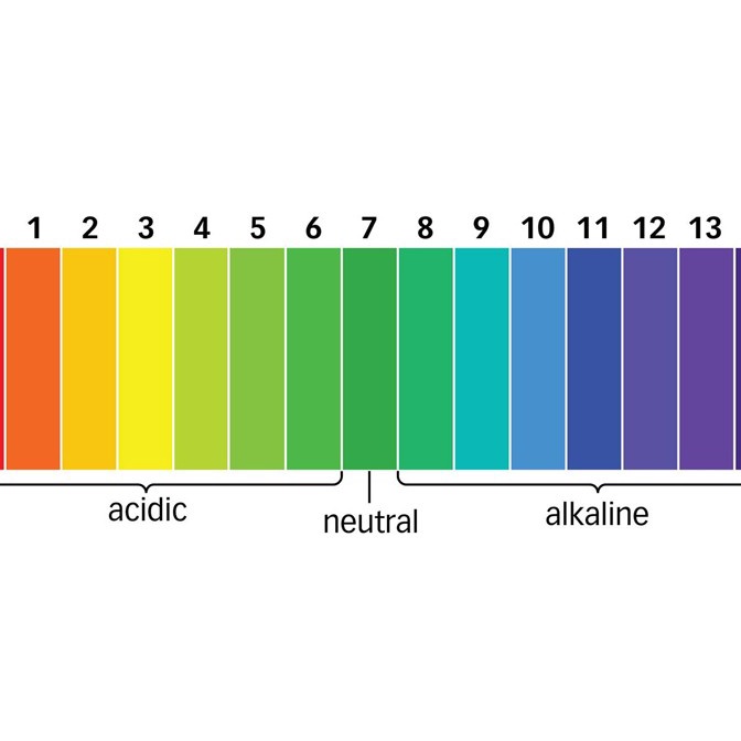 Giấy quỳ tím đo độ Ph test nước