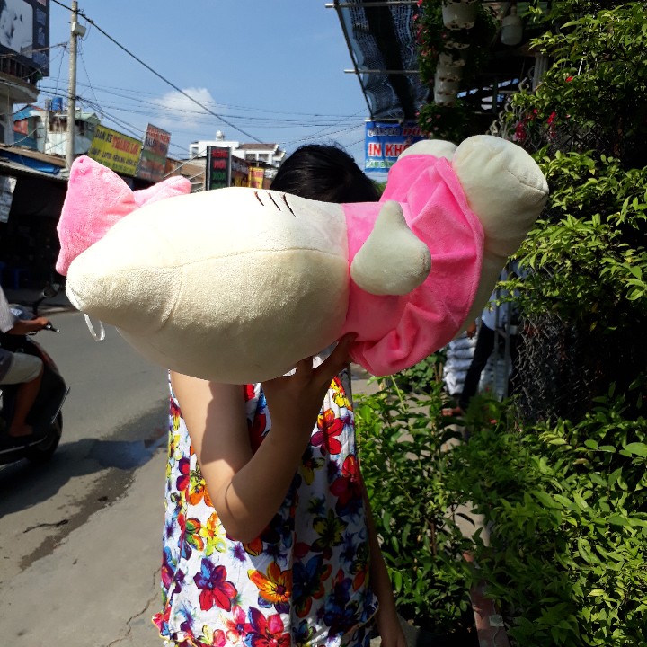 [HCM]MÈO KITTY NHỒI BÔNG 45CM