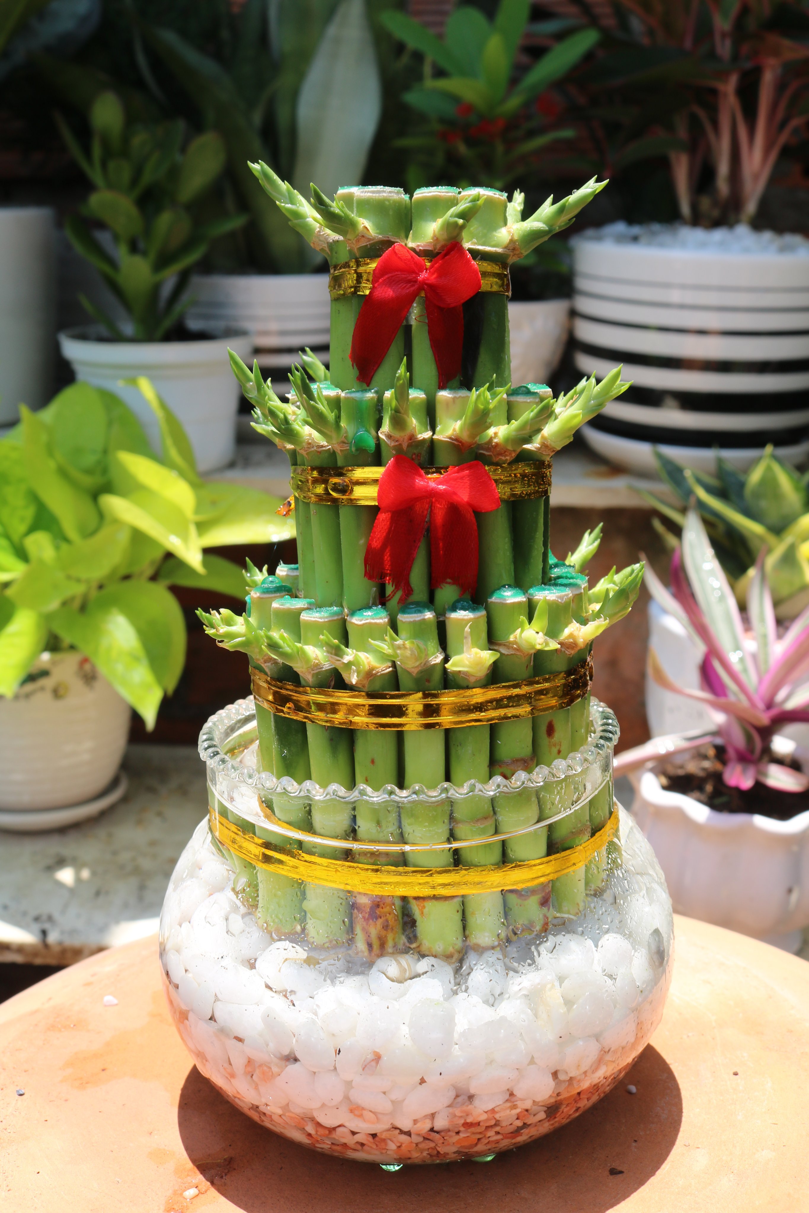 Chậu thuỷ tinh cây Phát Tài 3 Tầng