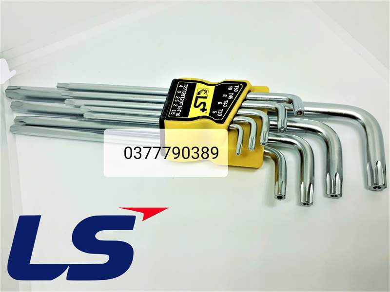 [HCM]bộ lục giác bông LS