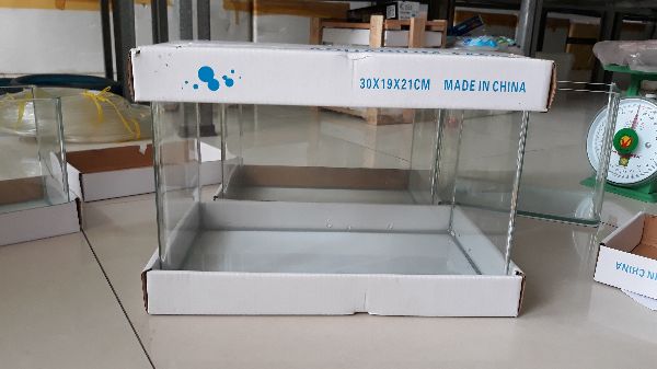 [HCM]Bể đúc mặt bo cong 30 x 19 x 21 cm