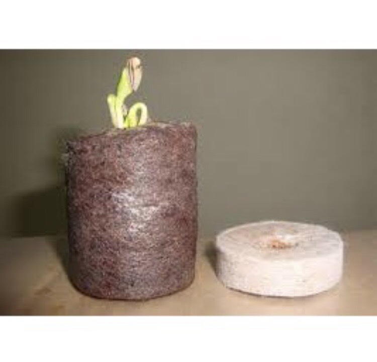 [HCM][Combo [20 viên] Viên Nén Xơ Dừa - Viên Nén Ươm Hạt