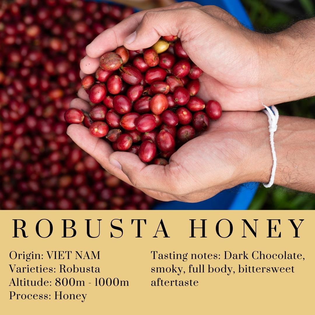 Phin Robusta Honey - Regional