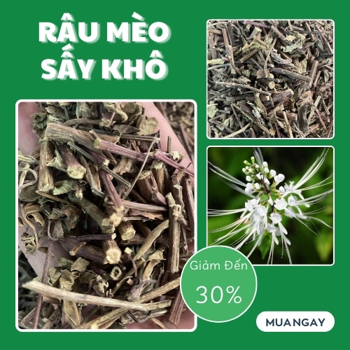 [Hàng mới về] Râu Mèo Sấy Khô 500g - Tấn phát - Trà ngon bổ dưỡng giúp thanh nhiệt và giải độc cực kỳ hiệu quả