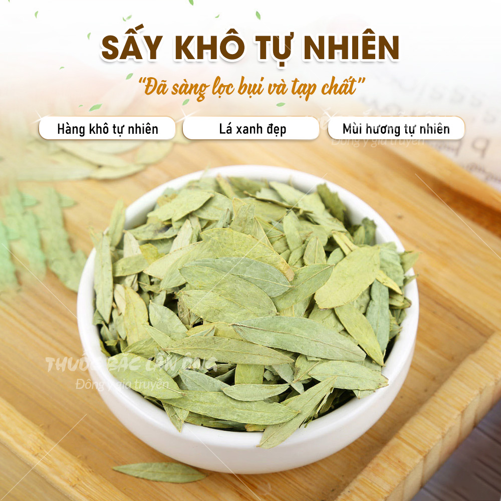 Lá phan tả diệp 200g, trà phan tả, lá xanh, thơm, không vụn, hỗ trợ thải độc, táo bón - Lãn Ông