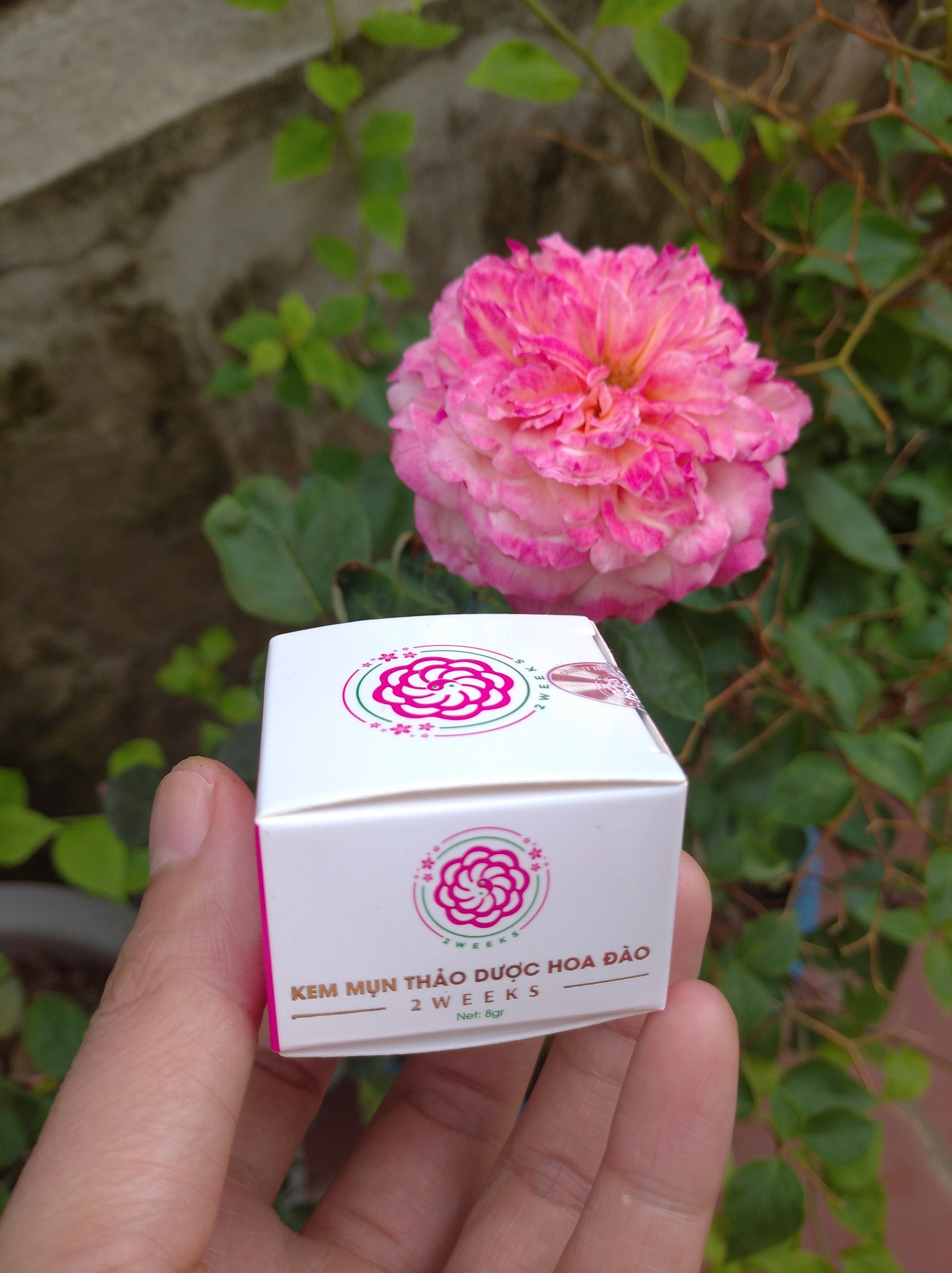 Kem mụn Cao Hoa Đào