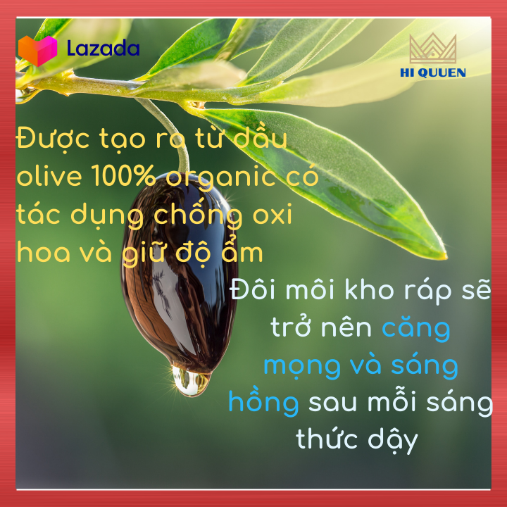 Son DHC dưỡng môi HỒNG Nhật Bản ( 4 MÀU ) Hi Queen