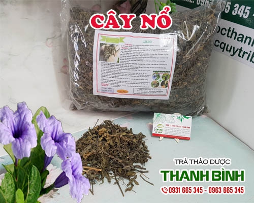 Cây Nổ 500g Loại Đặc Biệt - Hàng Công Ty