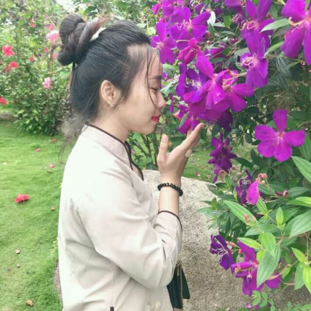 CHẬU HOA SIM TÍM THÁI LAN SIÊU ĐẸP