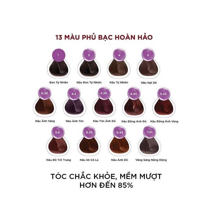 ( Số 3 )Thuốc Nhuộm Tóc Loreal Paris Excellence Cream
