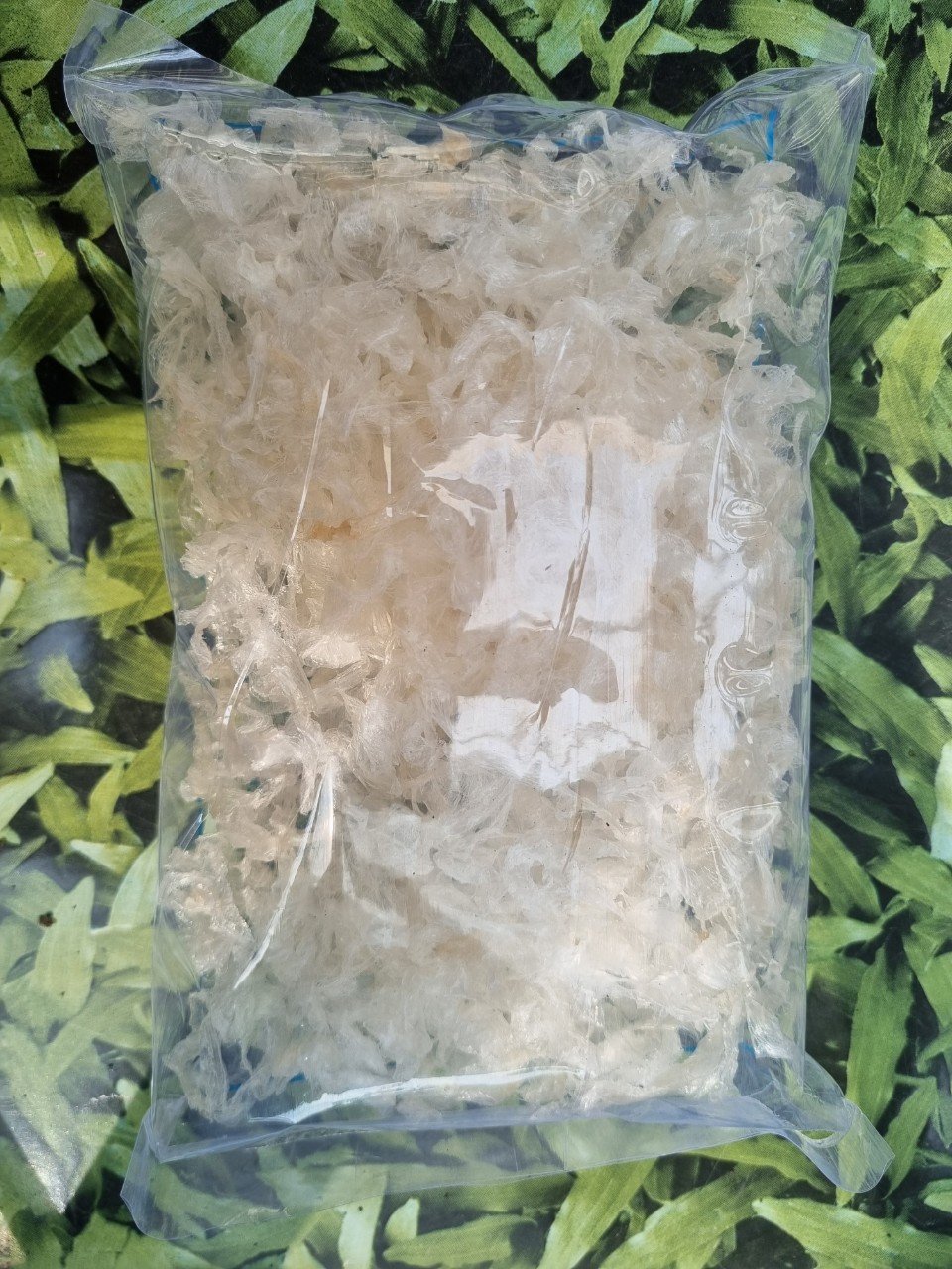 [Combo 5ói x 50gr/gói] Rau câu sợi ngắn ANN