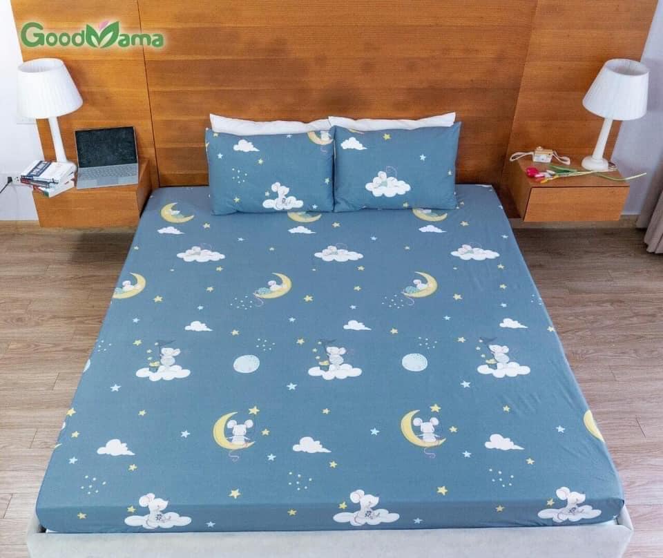 Ga chống thấm giường cotton cao cấp 1m6 x 2m