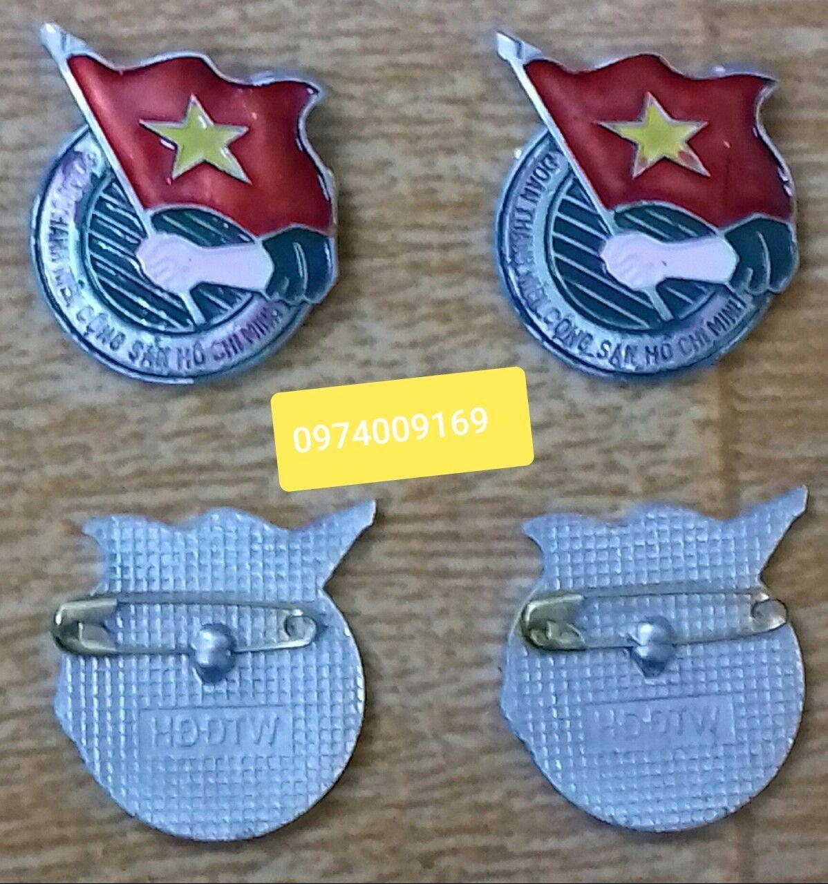 100 Huy Hiệu Đoàn