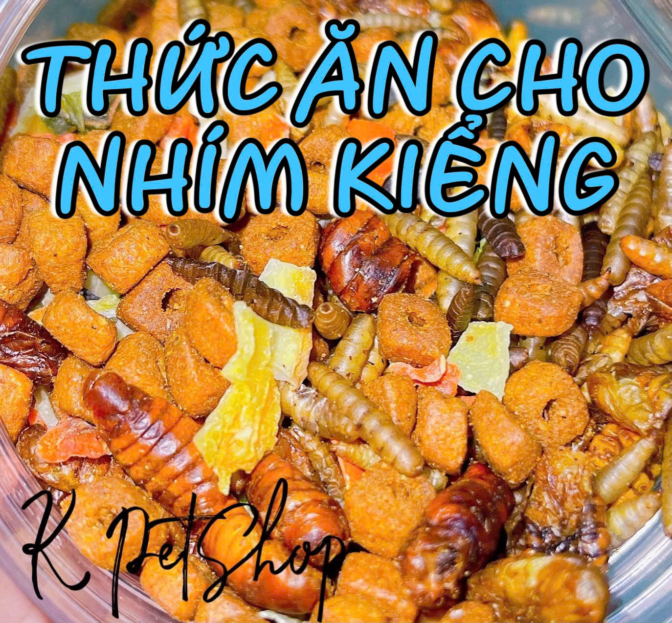 Thức ăn dinh dưỡng cao cấp cho nhím kiểng 🦔 thức ăn nhím trộn siêu ngon sâu nhộng rau củ cho nhím