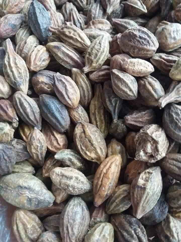1KG QUẢ KHA TỬ